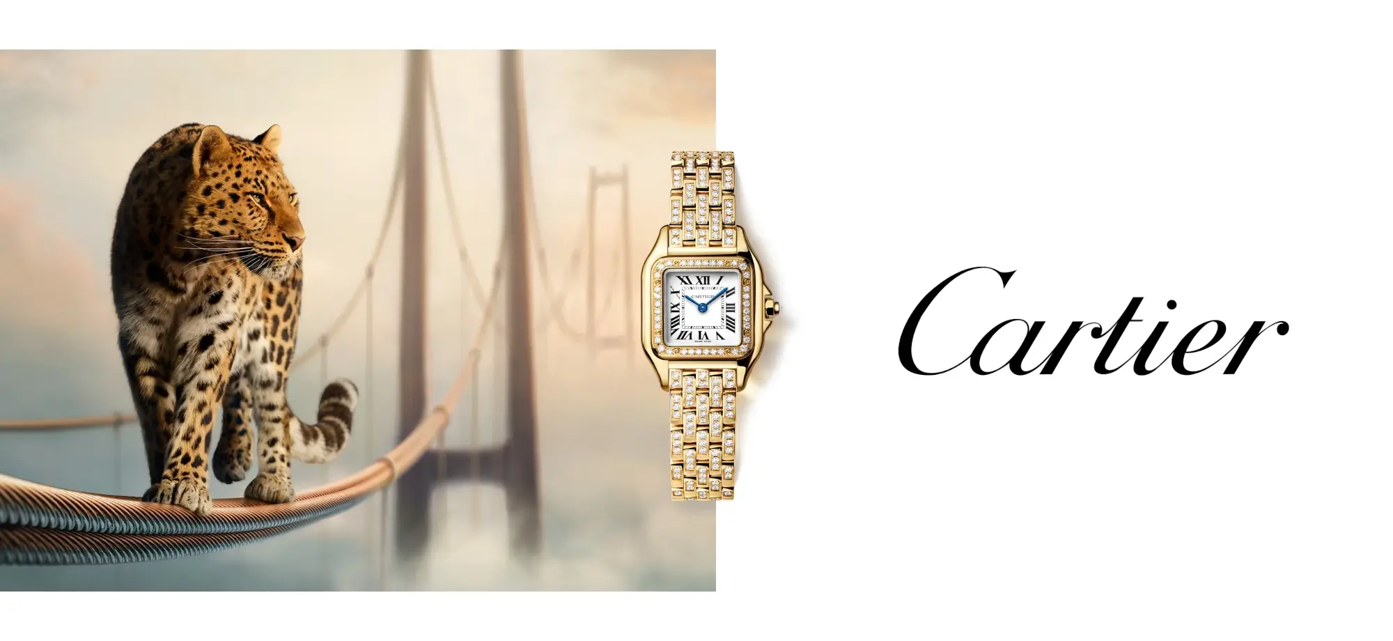 Cartier watches