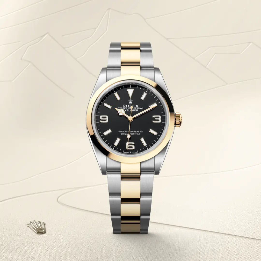 Rolex Explorer in Yellow Rolesor - combination of Oystersteel and yellow gold, M124273-0001 - Verga 1947