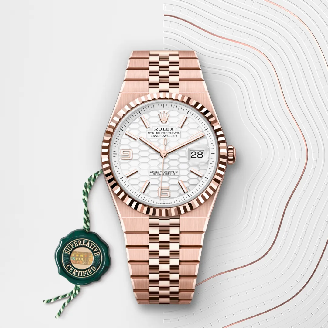 Rolex Land-Dweller in 18 ct Everose gold, M127335-0001 - Verga 1947