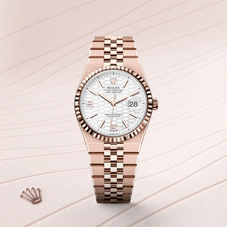 Rolex Land-Dweller in 18 ct Everose gold, M127235-0001 - Verga 1947