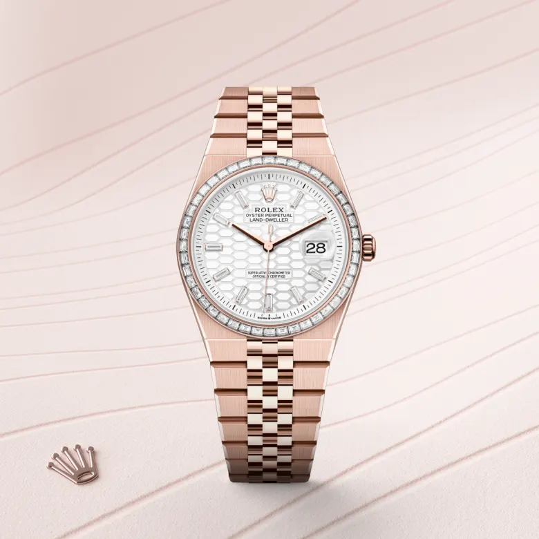Rolex Land-Dweller in 18 ct Everose gold, M127285TBR-0002 - Verga 1947