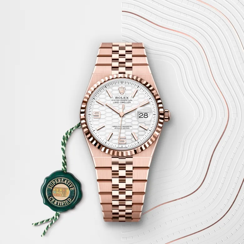 Rolex Land-Dweller in 18 ct Everose gold, M127235-0001 - Verga 1947