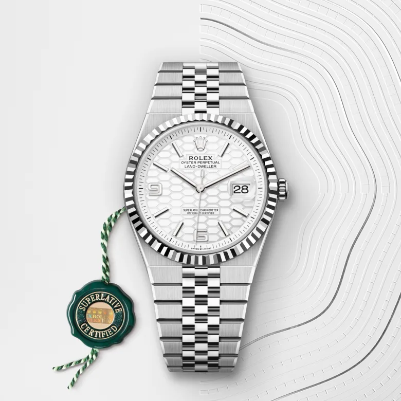 Rolex Land-Dweller in White Rolesor - combination of Oystersteel and white gold, M127334-0001 - Verga 1947