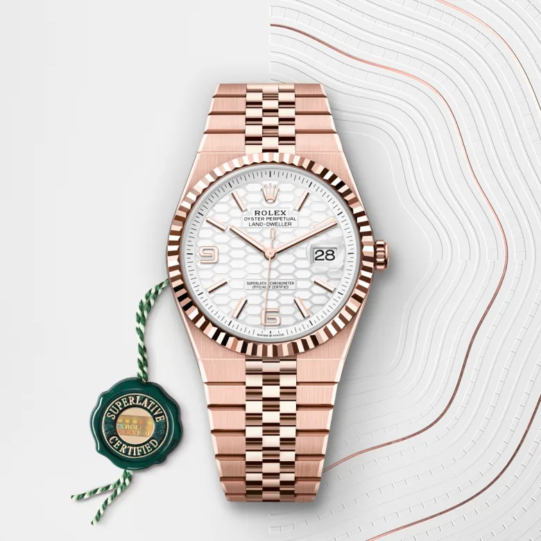 Rolex Land-Dweller in 18 ct Everose gold, M127335-0001 - Verga 1947