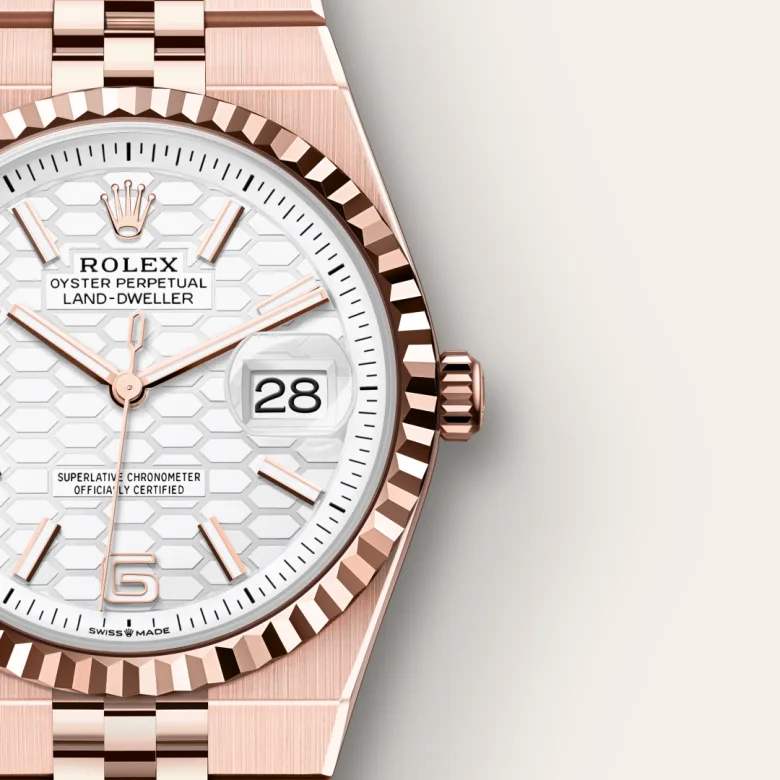 Rolex Land-Dweller in 18 ct Everose gold, M127235-0001 - Verga 1947