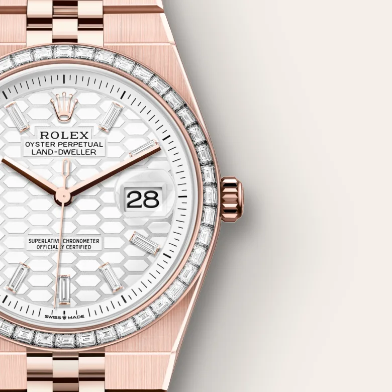 Rolex Land-Dweller in 18 ct Everose gold, M127285TBR-0002 - Verga 1947
