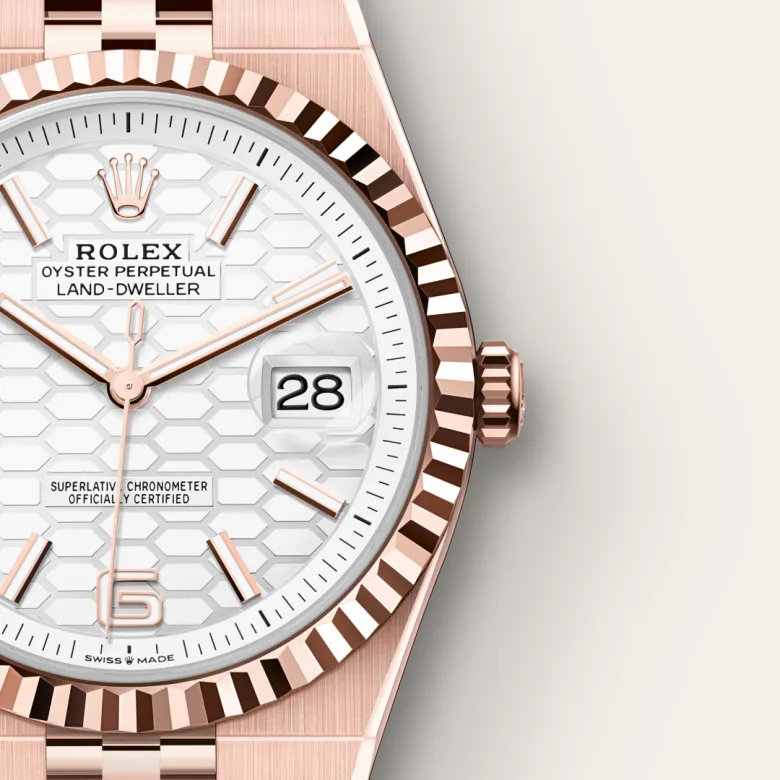 Rolex Land-Dweller in 18 ct Everose gold, M127335-0001 - Verga 1947